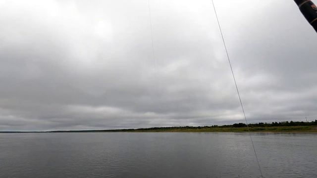 Вибы и чабики - косят всё! Жерех, голавль, язь, щука, окунь. смотреть онлайн