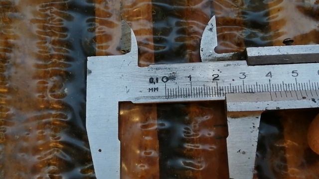 Размер улочек у пчёл в естественных условиях. смотреть онлайн