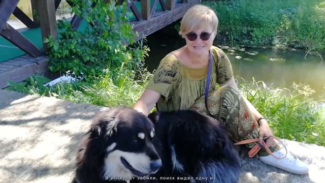 Бурят-монгольский волкодав|Хотошо - Встреча владельцев хотошо смотреть онлайн