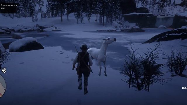 Red Dead Redemption II PC  l  С первого раза оседлал Арабскую лошадь смотреть онлайн