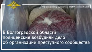 В Волгоградской области полицейские возбудили дело об организации преступного сообщества