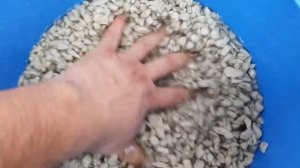 GrowPlantPonics - СУБСТРАТНАЯ DWC ГИДРОПОНИКА на пеностекле