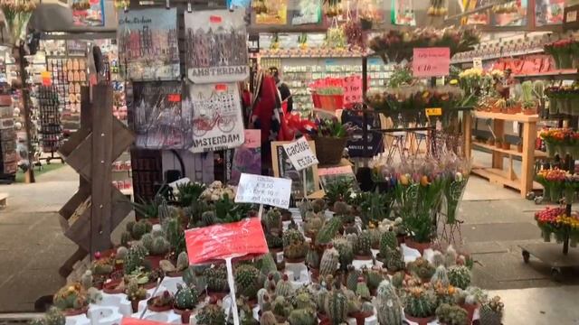 Tulips, ? Flower Market in Amsterdam | Bloemenmarkt The Netherlands смотреть онлайн