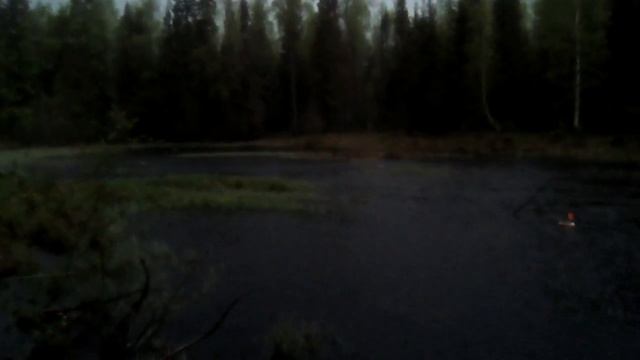 СТАРЫЕ ВИДЕО ПОКЛЁВКИ НОЧЬЮ смотреть онлайн