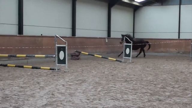 Nerman d'O vrijspringen 2 jaar смотреть онлайн