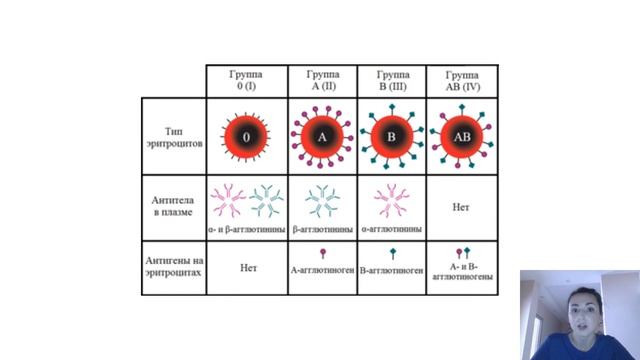 Группы крови человека. Правила переливания между группами крови смотреть онлайн