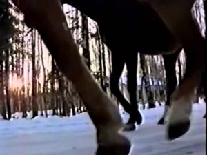 Олег Погудин "Пара гнедых"