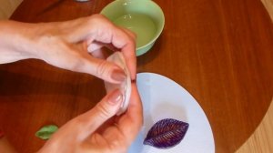 Молды из полиморфуса