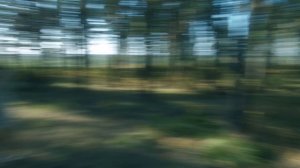 Косплей. "Касандра"