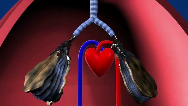 Охрана труда. Лёгкие на работе смотреть онлайн