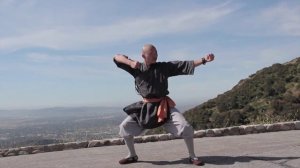 Master Shi Yan Yue Demonstrates Shaolin Tong Bei Quan 通背拳示範