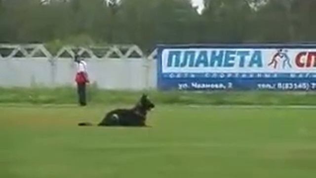 Бося смотреть онлайн