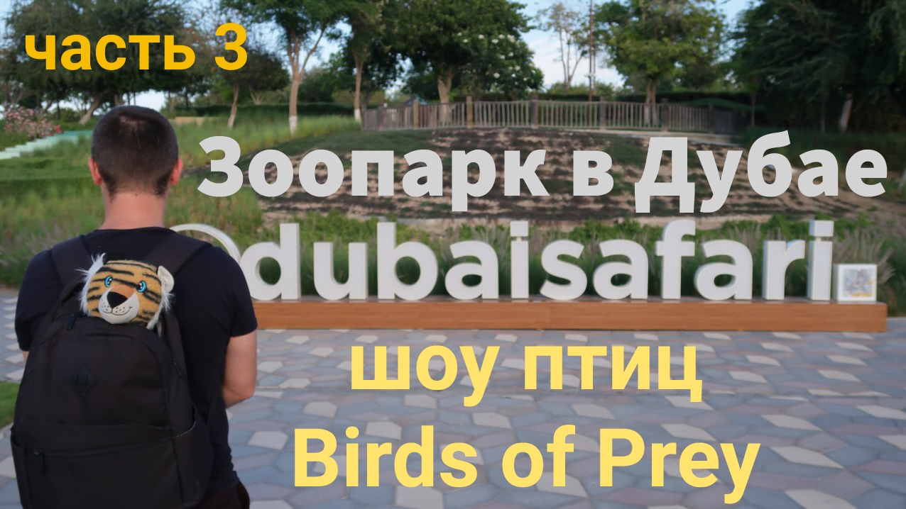 Зоопарк в Дубае. Dubai Safari Park. Часть 3. Шоу птиц. Birds of prey