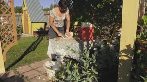 6 соток 21 августа 2024 года Хроника