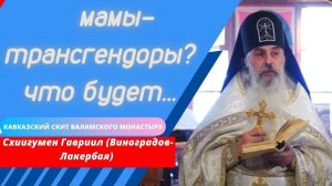 Поругаемая высота женщины. Схиигумен Гавриил (Виноградов -Лакербая). Верую @user-gw3kj1lb7j
