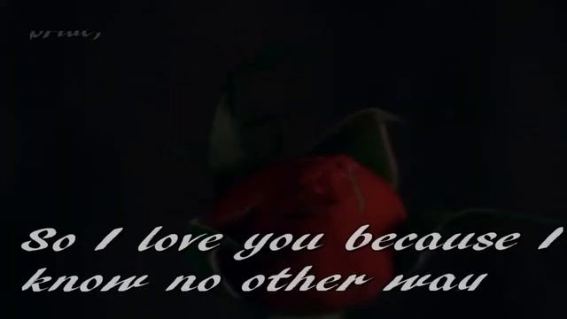 Pablo Neruda - Sonet XVII смотреть онлайн