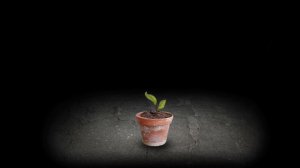 2-я часть семечко