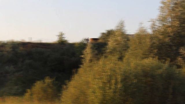 ЛОШАДИ НА ПРИРОДЕ?ЛЕТНИЙ КОННЫЙ ВЛОГ с ЛОШАДЬМИ/ЛОШАДИ БРЕЕР/БРЕЙЕР/HORSES BREYER PHOTOS/МОИ КОНИ