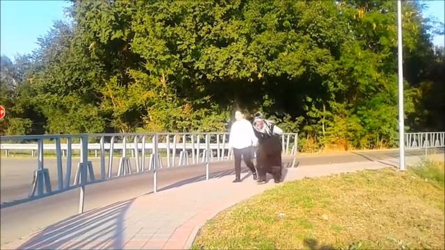 Правила перехода через дорогу смотреть онлайн