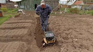 13.05.22 г Весенняя пахата культиватором Техас 650.