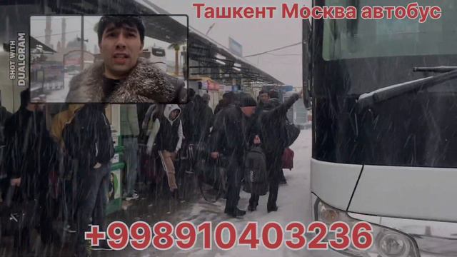 #ташкент #москва #avtobus #автобус #краснодарташкентавтобус #2024 #россияузбекистанавтобус #такси