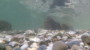 Релакс. Морское дно