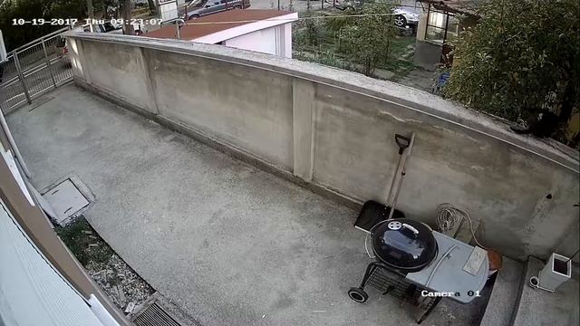 Демо клип на камера за видеонаблюдение HiWatch DS-T203 смотреть онлайн