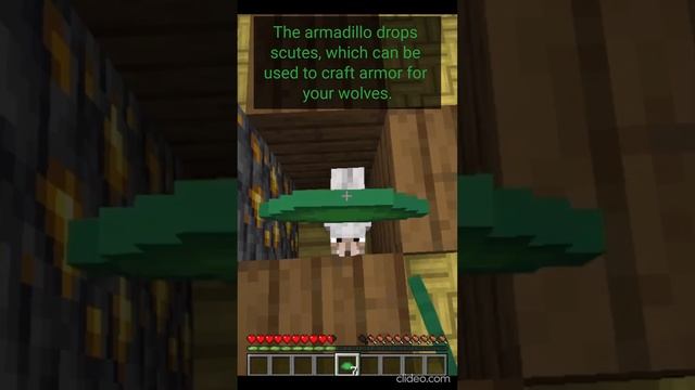 The new MOB VOTE! #mobvote #mobvote2023 #crab #armadillo #penguin #minecraft смотреть онлайн