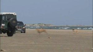 КРЫЛО ПЕРЕДНЕЕ ПРАВОЕ НА БМВ X1E84 ЕКАТЕРИНБУРГ