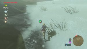 Zelda Breath of the Wild - Secret of the Cedars Shrine Quest