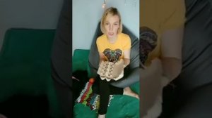 Интеллектуальные игры для собак своими руками