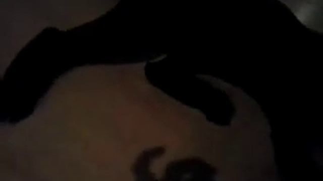 Безумная кошка смотреть онлайн