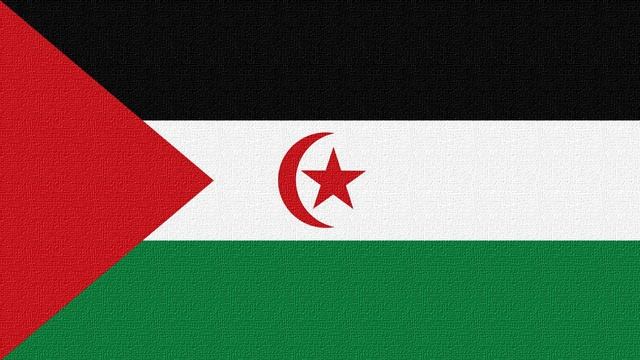 Western Sahara National Anthem (Instrumental) Yā Banīy As-Saharā