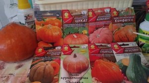 Сорта и гибриды Тыквы на сезон 2022г