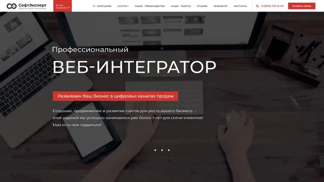 Профессиональный веб-интегратор