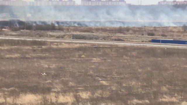 НЬЮ-ПИТЕР 12.04.2020 ГОРИТ ПОЛЕ смотреть онлайн