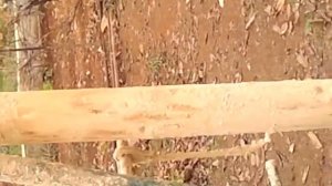 Ударно канатное бурение скважин на воду: очень тяжёлая работа