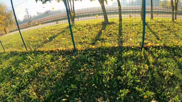 трюки в парке с пергого лица! go pro влог на парк скуте в италий! очень крутые трюки на самокате!