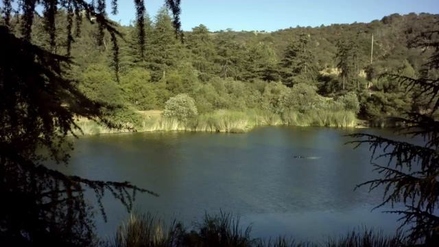 Purina Proplan eshopkatoikidio.gr смотреть онлайн