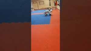 Тренировка по тхэквондо, группа 6-7 лет.