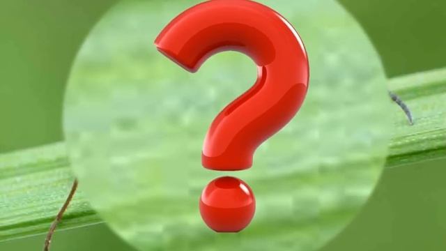 загадки про насекомых смотреть онлайн