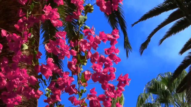 10-Mind Meditation Relaxing Music With Beautiful Nature [Ek Mantra Jo Jindgi Badal De] #meditation смотреть онлайн