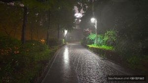 Seoul Powerful Rainy Night Walk around Jeongdong Street   Umbrella Sounds 4K HDR