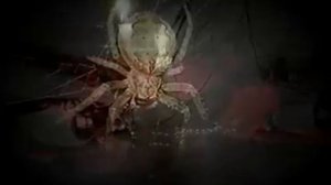 Г.Лепс & Медленный блюз