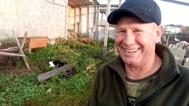 Ура. я дома. смотреть онлайн