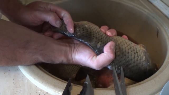 Как быстро почистить "белую" рыбу. Удаляем чешую одним пальцем. смотреть онлайн