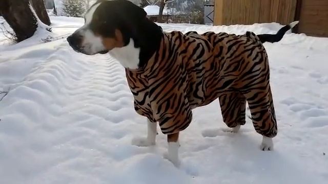 Дача, это счастье. смотреть онлайн