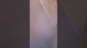 баня построенная из поддонов