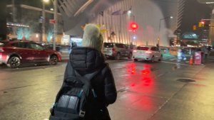 Встречаем Новый год в Нью-Йорке | Как мы отпраздновали наш третий Новый год в США