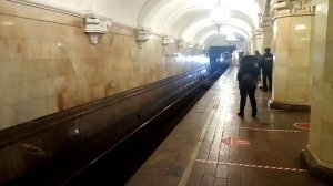 Все линии метро за одну поездку от Павелецкой до Павелецкой (Кроме Филёвской и Бутовской линий).